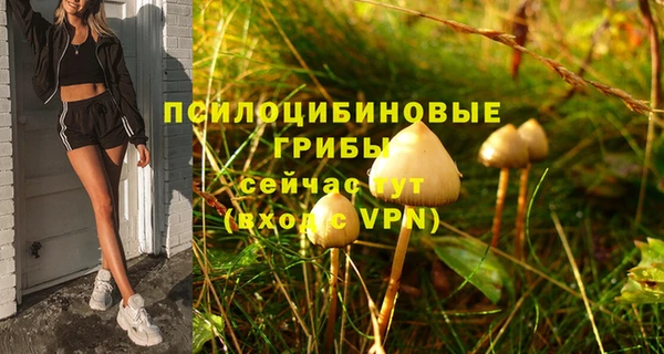 спиды Верхний Тагил