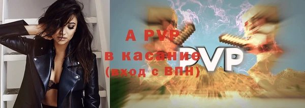 дмт Верея