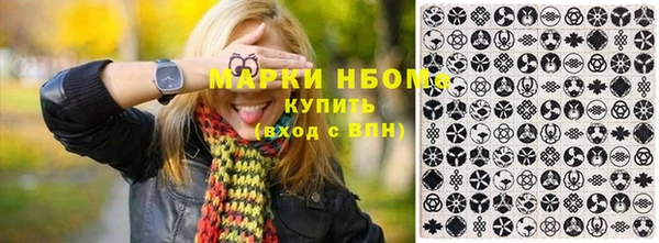 дмт Верея